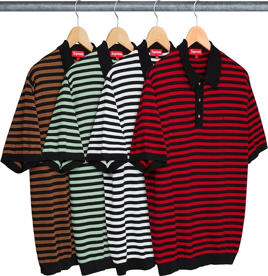 Striped Knit Polo